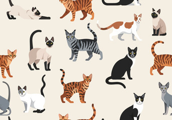 Seamless Pattern of Various Cat Breeds in Different Poses  Flat Vector Illustration of Domestic Felines including Siamese, Tabby, and Calico Cats for Textile or Wallpaper © Graphicnoell