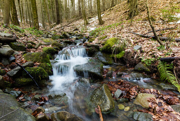Górski strumień w wiosennym lesie pośród kamiennych głazów © kubikactive