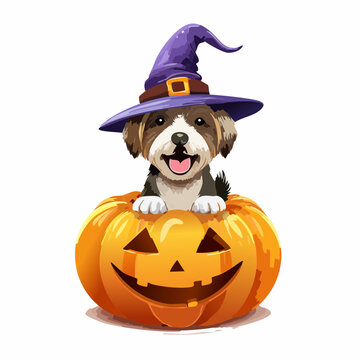 Hund mit Hexenhut auf K&uuml;rbis &ndash; Lustiger Halloween Stil