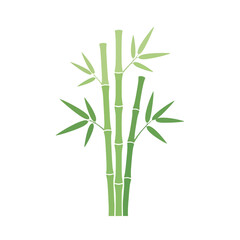 Fototapeta premium A simple yet elegant illustration of a vibrant green bamboo plant with long, slender stalks and pointed leaves, representing nature and serenity