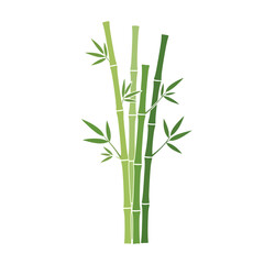 Obraz premium Green bamboo stalks with leaves illustration, natural plant design element