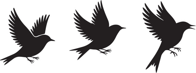 Naklejka premium Three black silhouettes of birds in flight 