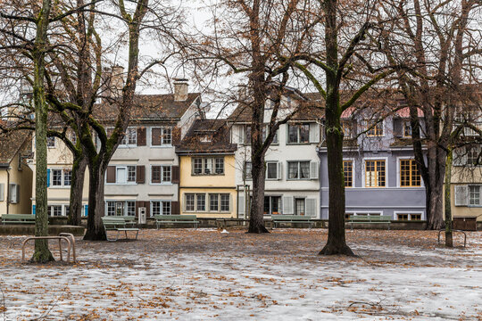 Colorful historic houses and winter trees in residential Zurich Switzerland