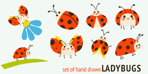 Cute ladybug set cartoon insects collection © Elena
