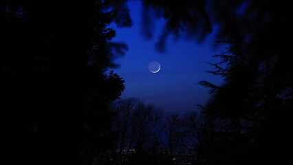 Fototapeta premium Blue hour time with crescent Moon, stars and planets above landscape silhouettes.