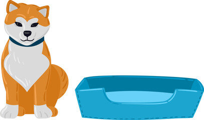 Fototapeta premium Shiba Inu dog sitting observing pet bed
