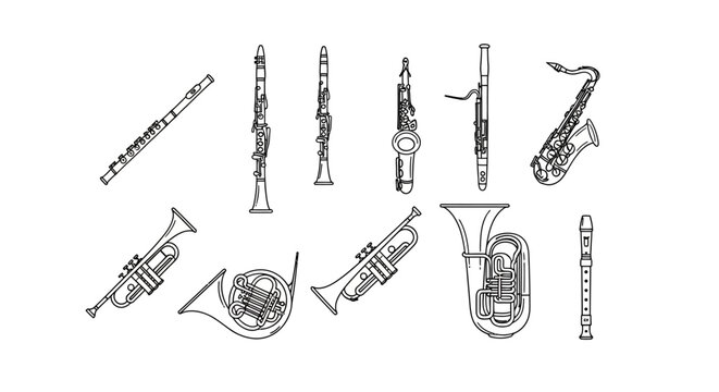 Musical instruments orchestra brass wind.