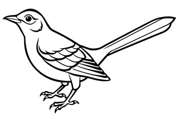 Obraz premium mockingbird silhouette line art vector illustration with a white background