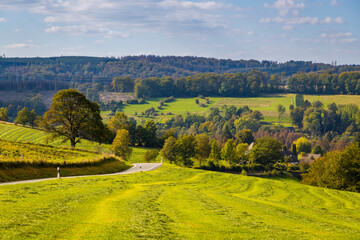 Obraz premium Herbst im Sauerland
