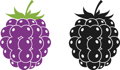 Blackberry and raspberry vector illustration, fresh forest berry icons with green leaves, sweet summer fruit silhouette set, isolated organic harvest. © Fozila