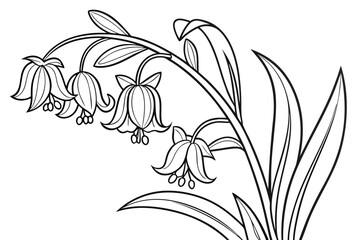 Naklejka premium coloring page line art the solomon seal flower black vector