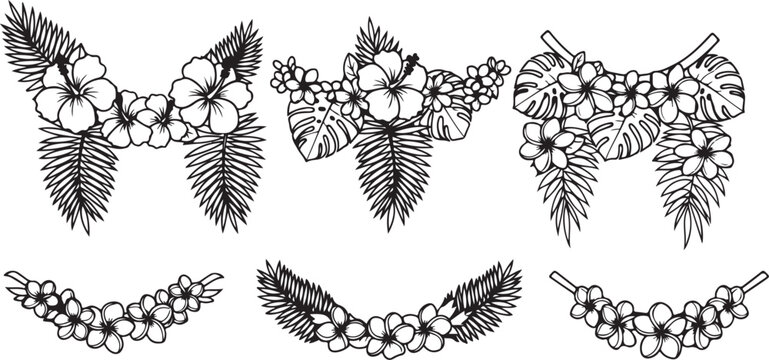 Diagrams showing the process of mitosis in a plant cell Vector