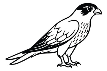 Fototapeta premium merlin bird silhouette line art vector illustration with a white background
