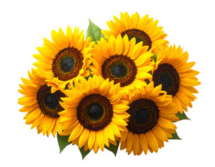 Obraz premium Vibrant bouquet of cheerful, sun-kissed sunflowers