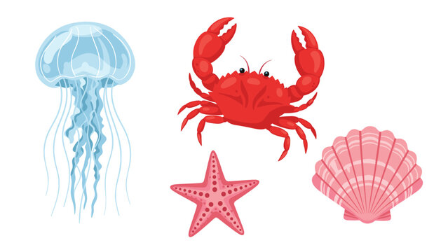 Colorful set of marine creatures featuring a detailed jellyfish, red crab, pink starfish, and a textured seashell on a white background.