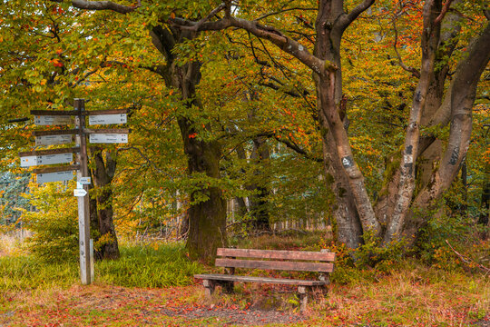 Herbst auf der Nordhelle
