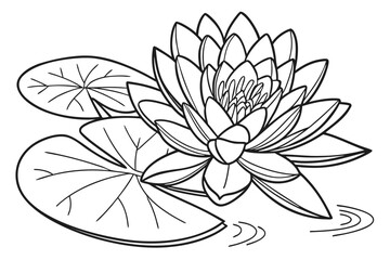 Fototapeta premium coloring page line art the water lily flower black vector