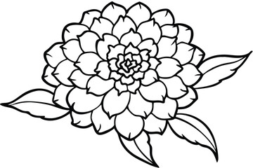 Obraz premium marigold flower silhouette line art vector illustration with a white background