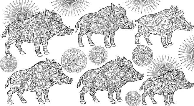 Intricate wild boar mandala illustration set with ornate patterns, detailed animal line art, decorative coloring page vector collection