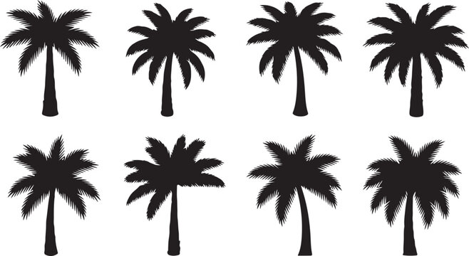 A collection of black feather boas displayed in a symmetrical arrangement Vector