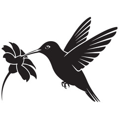 Obraz premium Black Silhouette of a Hummingbird Feeding from a Flower