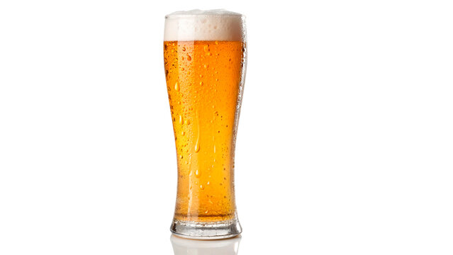 Cold beer served in a tall glass with foam on top isolated on transparent background cut out