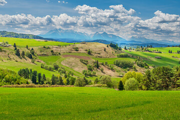 Obraz premium landscape with green field and blue sky