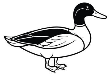 Fototapeta premium mallard bird silhouette line art vector illustration with a white background