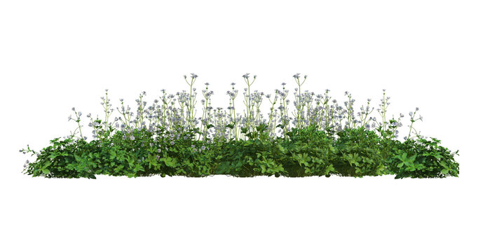 Large flowerbed with many different plants and flowers isolated on transparent background