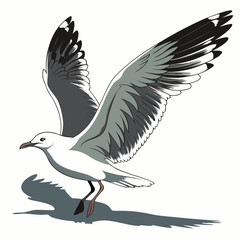Fototapeta premium A stylized illustration depicts a seagull in mid flight wings fully extended showcasing a mix of gray and white plumage