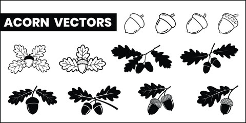 Collection of acorn and oak leaf vector illustrations in various styles and silhouettes. © @ahmedmaynul
