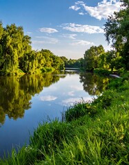 Obraz premium Serene river landscape with green trees.