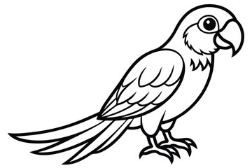 Obraz premium macaw bird silhouette line art vector illustration with a white background