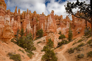 Naklejka premium Bryce canyon