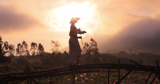 Silhouette Woman On Bamboo Bridge At Sunrise, Tra Ly Lotus Pond Vietnam