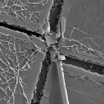 FIB-SEM Cross-Section of NMC Cathode Particle and Carbon-Binder Network