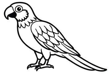 Fototapeta premium macaw bird silhouette line art vector illustration with a white background