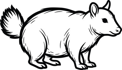 Obraz premium Line Art of a Small Animal with Fluffy Tail, Detailed Wildlife Outline Illustration for Nature and Animal Graphics