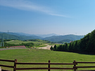 Fototapeta premium This is the scenery of a sheep ranch in Korea.