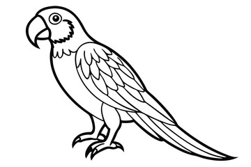 Fototapeta premium macaw bird silhouette line art vector illustration with a white background