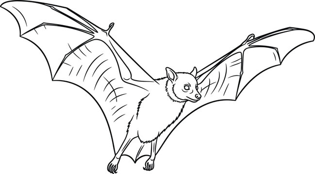 Flying Bat Illustration, Detailed Bat with Outstretched Wings, Vector Line Art Design