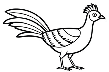 Fototapeta premium lyrebird silhouette line art vector illustration with a white background