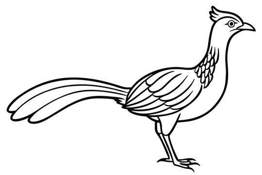 lyrebird silhouette line art vector illustration with a white background