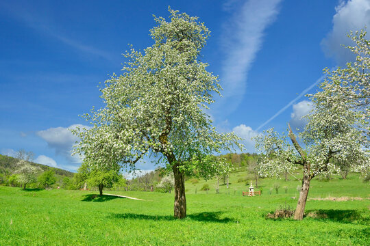 Wayside cross in springtime, Low Beskids, Poland. This region are a mountain range with wide open spaces, wildlife, deserted villages and stone crosses by the roadside.