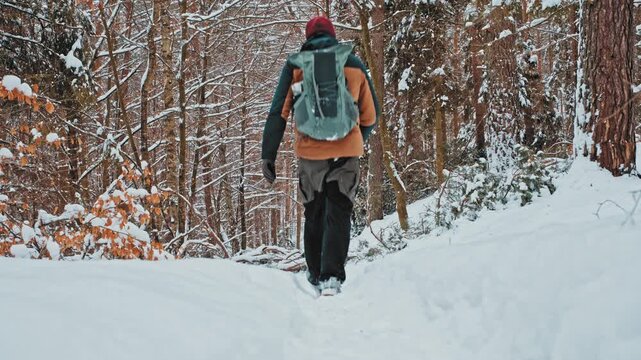 Male Hiker Walking Through Snowy Winter Forest Trail Path Blocked by Fallen Tree Branches Broken under Weight of Heavy Wet Snow