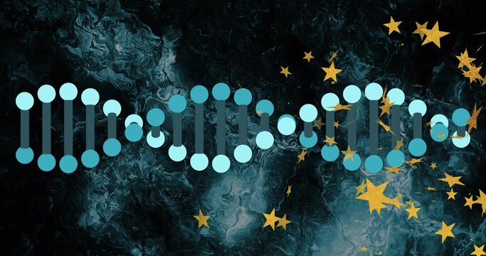 Displaying stylized DNA helix with blue nodes and teal bars on teal-black marble, with gold stars