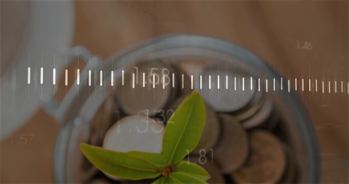 Featuring clear glass jar with coins and seedling sprouting on wooden tabletop, measurement overlay