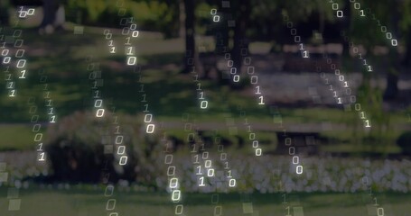 Fototapeta premium Floating semi-transparent binary digits falling over blurred public park, with benches and trees