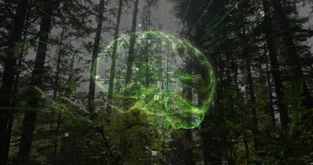 Naklejka premium Glowing neon holographic brain hovering in misty conifer forest, casting radial green beams