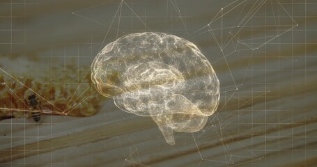Hovering holographic wireframe brain glowing above wooden tabletop, showing honeycomb and bee © vectorfusionart